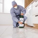 Additional Pest Control Services from Outsource Cleaning